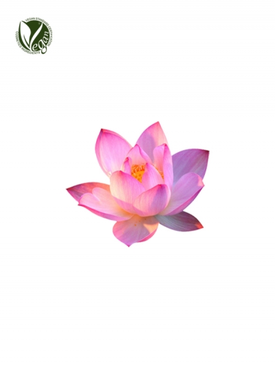 Lotus Flower Extract