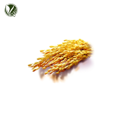 쌀겨추출물(Oryza Sativa(Rice) Bran Extract)