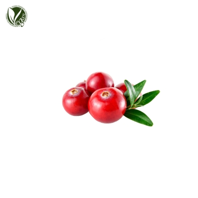 크랜베리씨오일(Vaccinium Macrocarpon (Cranberry) Seed Oil)