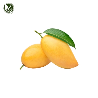 망고버터(Mangifera Indica (Mango) Seed Butter)