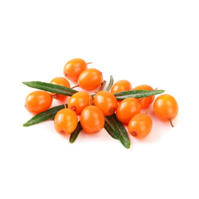SEABUCKTHORN FRUIT PULP, COLD PRESSED (Hippophae Rhamnoides Fruit Oil) 씨벅톤오일